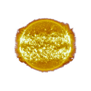 Omega x Swatch - Mission to the Sun